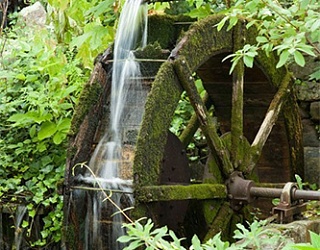 Patot.na.podviznikot56