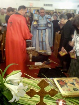 markov.sv.Zlata1.jpg