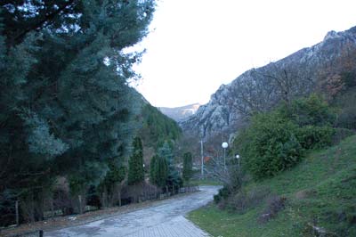 Vecerna.Ksenija.jpg